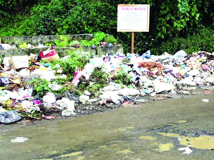 A filthy site: Waste dumped by the roadside in Forest Colony leading to Jotsoma. The unattended waste cause foul smell making it inconvenient for the pedestrians. This photograph was taken during the first second week of September, 2011 and the wastes still remain unattended. (Morung Photo)